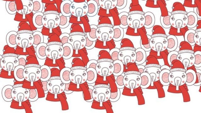 Acertijo visual, reto visual, elefante