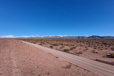 MDZol | 1284039.jpeg