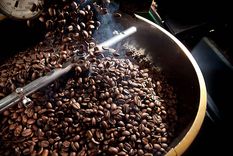 Foto: Central Café y Cacao