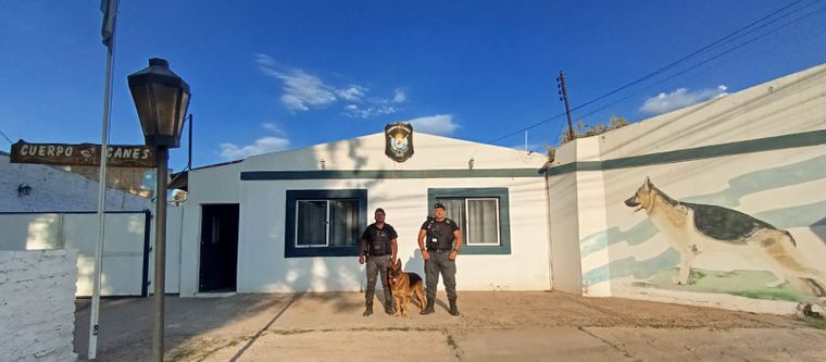 El perro Randall fue protagonista del procedimiento tras el robo en una peluquería.&nbsp;