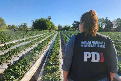 Megaoperativo en Santa Fe para desbaratar una red de explotación laboral y trata de personas. Megaoperativo en Santa Fe para desbaratar una red de explotación laboral y trata de personas.