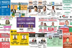 la politica esta atravesando problemas de representatividad