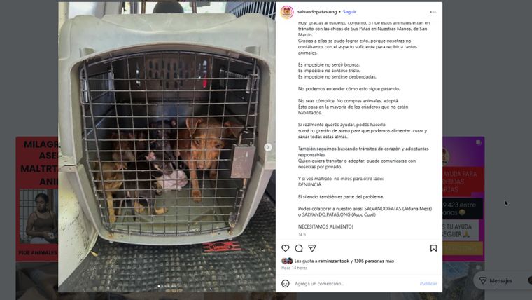 El refugio dio a conocer el caso a través de las redes sociales. El refugio dio a conocer el caso a través de las redes sociales.