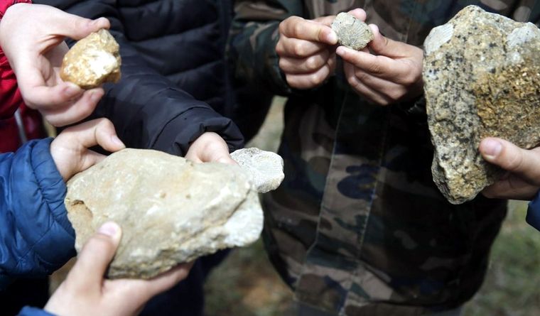 La paleontología sigue extrayendo información de los fósiles. Foto: EFE