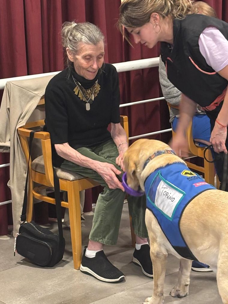 Caninoterapia en tratamientos gerontológicos.
