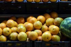 Las naranjas son los productos que más han aumentado su valor, debido a las medidas que tomó el Senasa en Mendoza. Foto: ALF PONCE MERCADO / MDZ