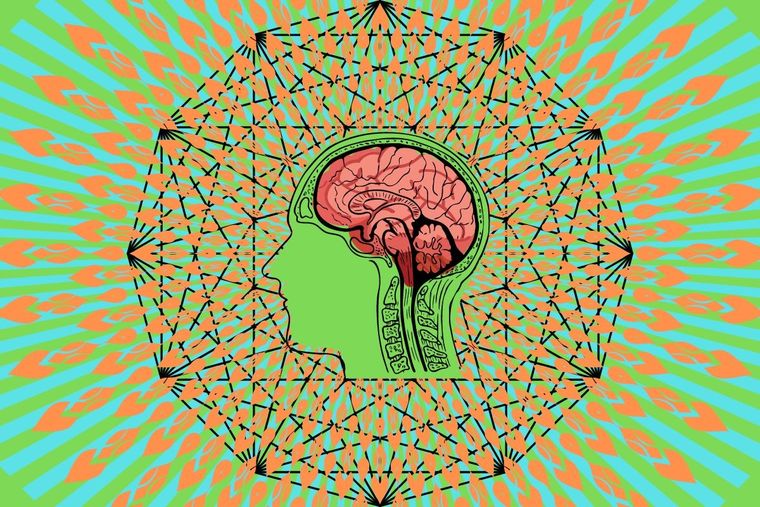 El 99% de los usuarios falla ante este test visual para mentes brillantes Test visual Foto: Canva