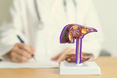 Por las funciones que realiza en el organismo, es importante mantener sano al hígado Foto: Shutterstock