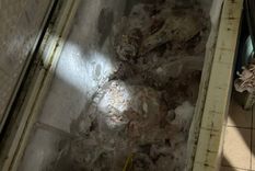 Bromatología procedió al decomiso y desnaturalización de aproximadamente 80 kilogramos de carne Foto: Prensa Gobierno de Mendoza