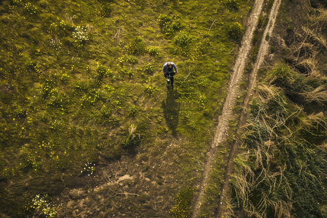 El hallazgo en Surrey Hills sorprendió al detectorista, que al principio creyó que alguien le estaba jugando una broma. El hallazgo en Surrey Hills sorprendió al detectorista, que al principio creyó que alguien le estaba jugando una broma.