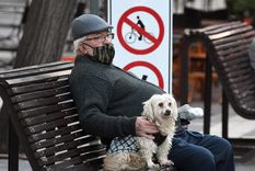 ¿Qué mascota deberías adoptar si vives solo? Foto: ALF PONCE MERCADO / MDZ