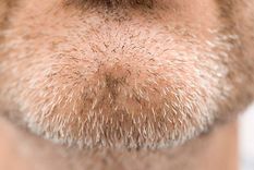 las partes del cuerpo humano para las que la evolucion no encuentra una explicacion las partes del cuerpo humano para las que la evolucion no encuentra una explicacion