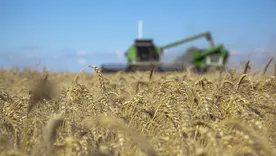 Reforma laboral, RIMI y acuerdo europeo: el paquete que ilusiona al campo