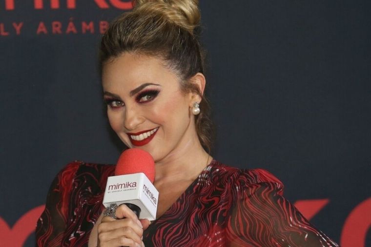 Aracely Arámbula Aracely Arámbula ex de Luis Miguel Foto: Los Ángeles Times