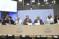 Serán dos jornadas de exposiciones en las audiencias públicas.