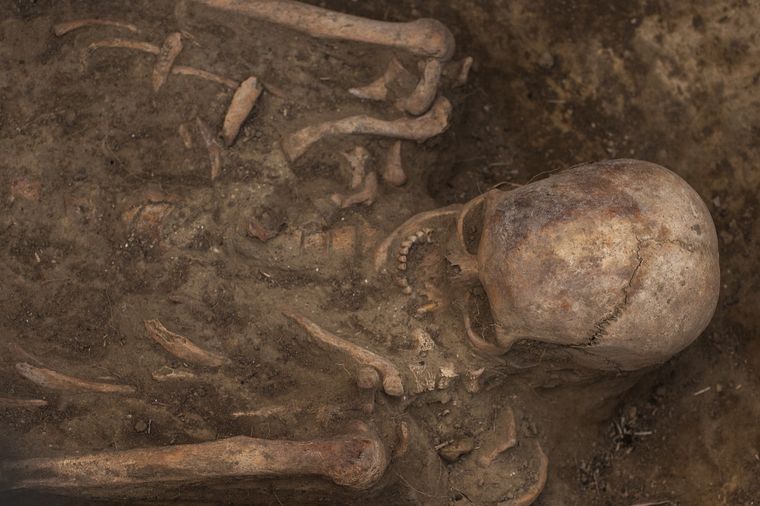 El estudio fue realizado por investigadores de la Universidad de Berna. Imagen ilustrativa Foto: Shutterstock