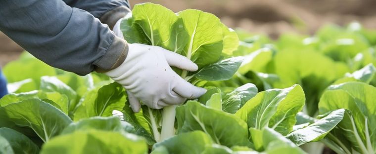 ¿Por qué no se podría obtener rentabilidad de una vida con tiempos ordenados que respete las velocidades y tiempos de los cuerpos y de la epistemología que brinda seguridad al consumo? ¿Por qué no se podría obtener rentabilidad de una vida con tiempos ordenados que respete las velocidades y tiempos de los cuerpos y de la epistemología que brinda seguridad al consumo?