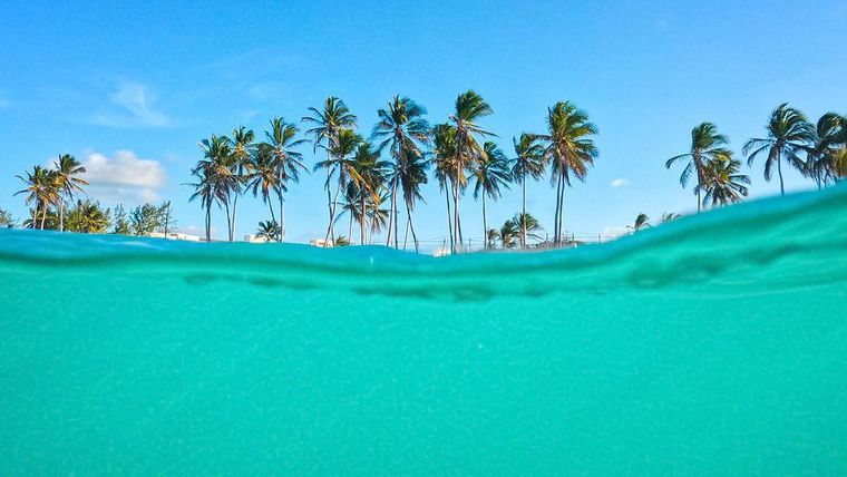 Hay menos de una veintena de islas con más de un soberano.
