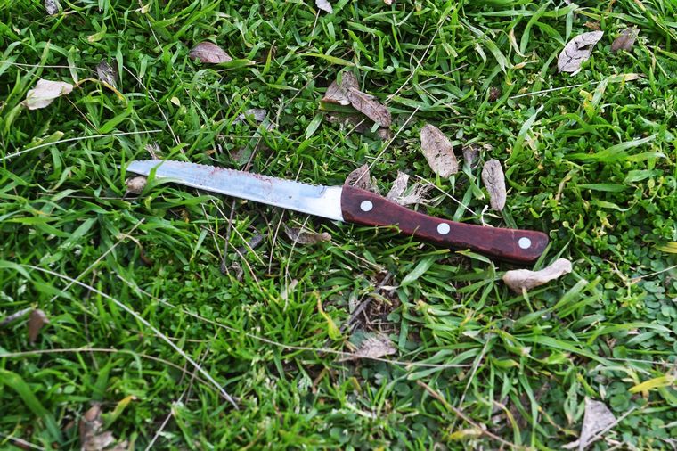 El presunto arma homicida con el que habrían asesinado al ingeniero Foto: Télam