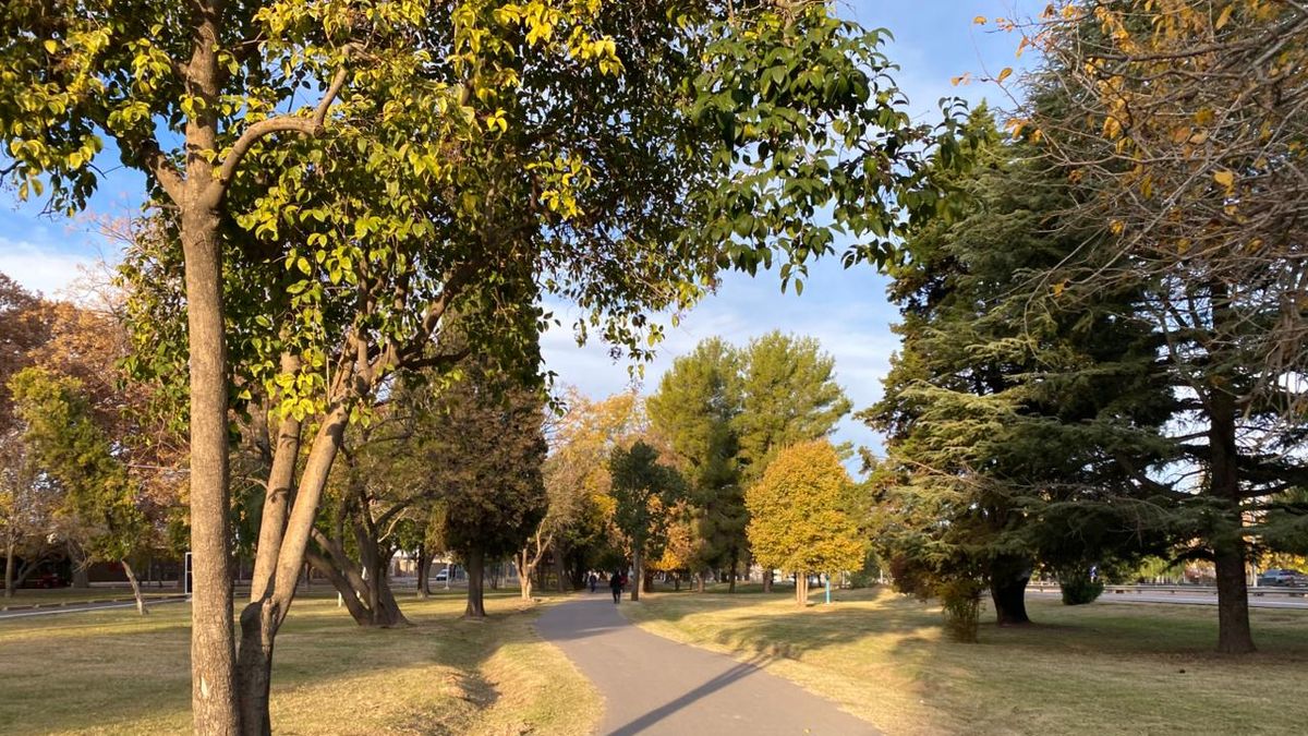 Pronóstico del tiempo: así estará el clima este domingo en Mendoza