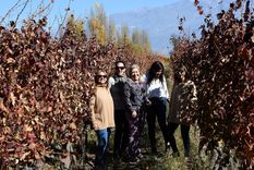 Alicia, Federica, Viviana, Natalia y Mariela en La Consulta. Foto: Alf Ponce Mercado /MDZ Foto: ALF PONCE MERCADO / MDZ