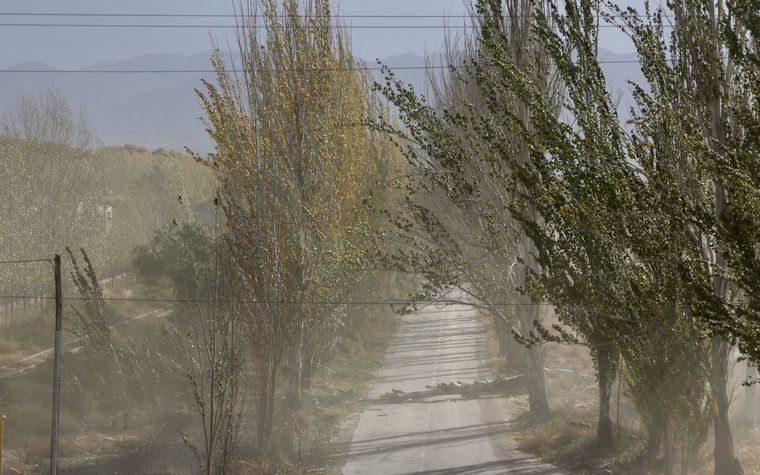 La temperatura máxima será de 20°