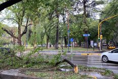 Foto ilustrativa. Foto ilustrativa.