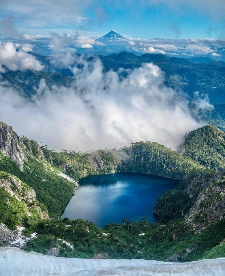 Foto: Foto: @martini.fotografia