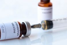 Más de 80 equipos trabajan a contrarreloj para desarrollar una vacuna contra el coronavirus.