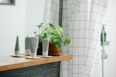 Limpieza Quita el moho de las cortinas del baño en segundos Foto: Pexels
