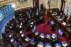 Foto: Prensa Senado
