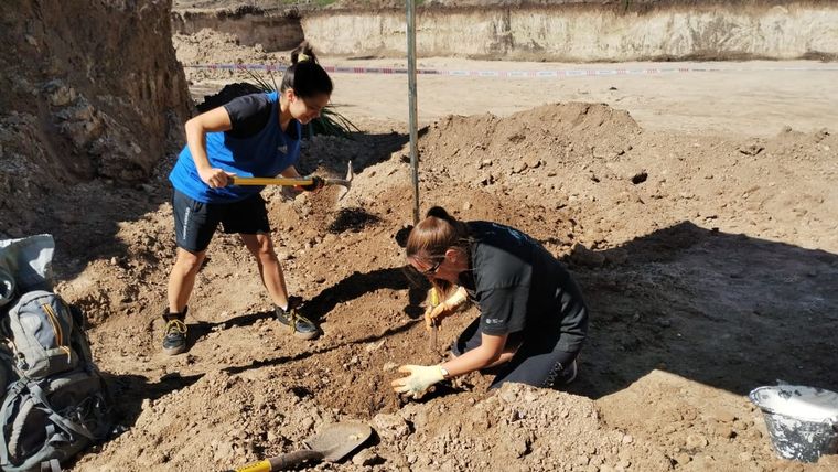 El equipo de especialistas trabaja en la remoción de tierra para recuperar los restos del gliptodonte.