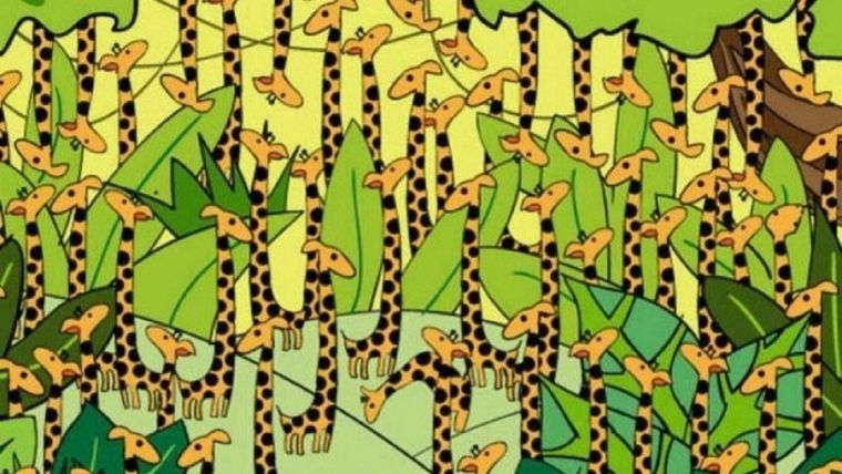 ACERTIJO VISUAL ACERTIJO VISUAL, RETO VISUAL, SERPIENTE Foto: ARCHIVO