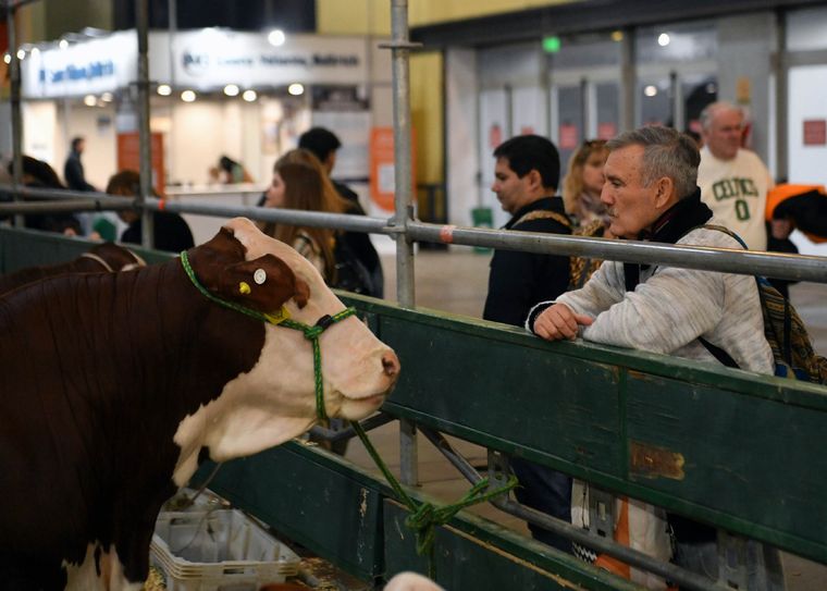 Comienza la 136ª Exposición Rural: actividades, precios de entradas y ...