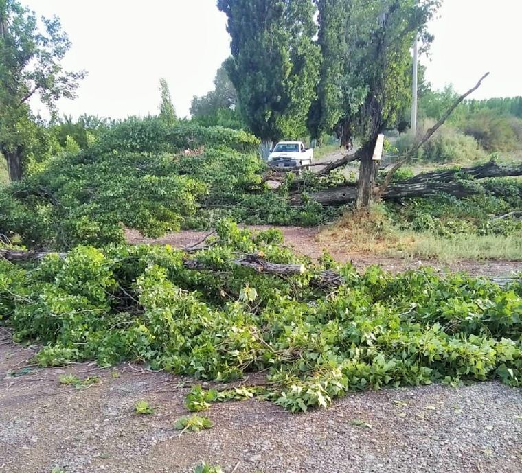 Foto: Gobierno de Mendoza.