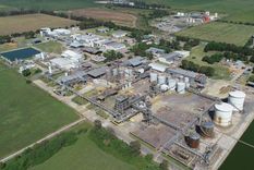 Planta de Dow Foto: Dow