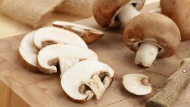 chp Champignon. Foto: Cucinare.tv