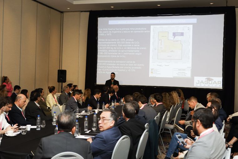 El Foro de Inversiones & Negocios Mendoza 2026 puso foco en la realidad y el potencial de la minería en la provincia.&nbsp;