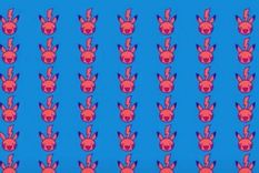 ACERTIJO VISUAL ACERTIJO VISUAL, RETO VISUAL, PIKACHU Foto: ARCHIVO