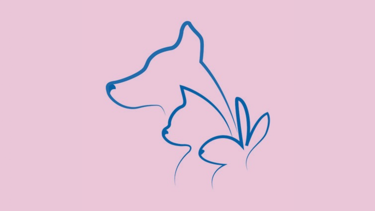 Test de personalidad