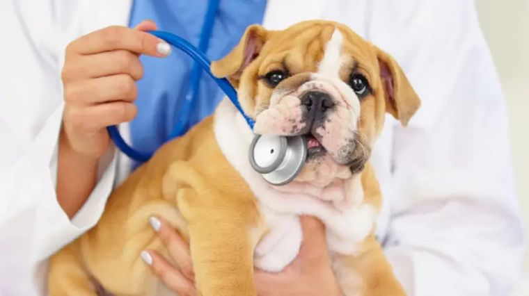 GETTY IMAGES Foto: GETTY IMAGES