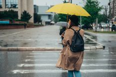 Desde el SMN aclaran que estas proyecciones no deben interpretarse como advertencias sobre tormentas o eventos extremos.