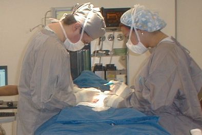 MDZol | profesionales de distinas especialidades amenazan con renunciar Foto: web