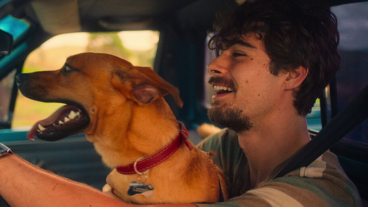 Netflix: las mejores series y películas para maratonear este fin de semana