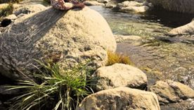 Fin de semana largo en Córdoba: el destino perfecto para descansar Fin de semana largo en Córdoba: el destino perfecto para descansar