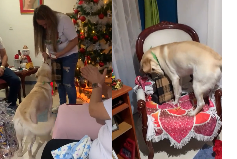 De la mamá para Tomás dijo su dueña y el perro enloqueció de felicidad. Foto: Archivo