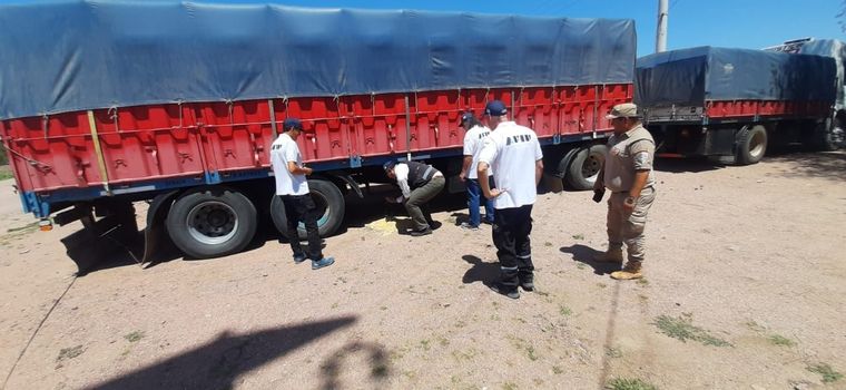 AFIP logró desbaratar maniobras fraudulentas Foto: Prensa AFIP