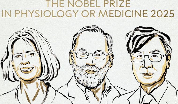 Los tres ganadores del Premio Nobel de Medicina 2025 anunciados por Suecia. Foto Asamblea Nobel