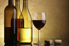 mendoza tendra un nuevo observatorio de turismo del vino