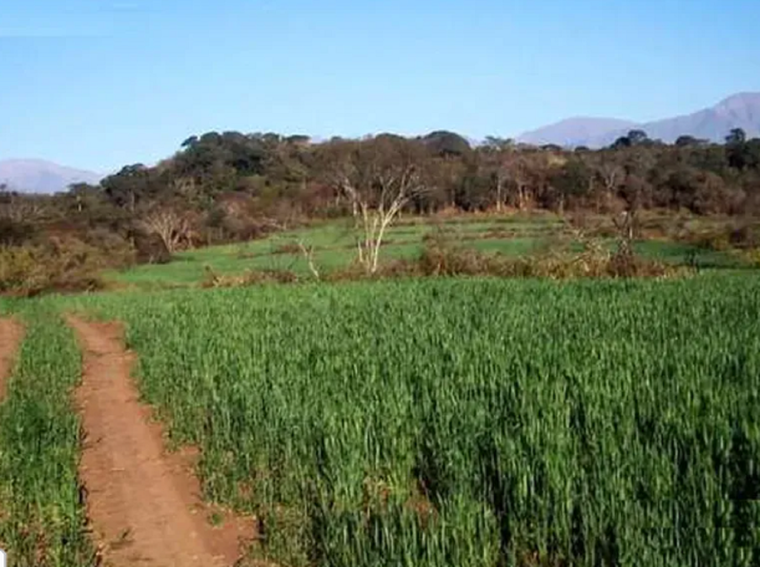 Un pueblo para conocer por dentro.&nbsp;